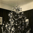 Weihnachtsbaum 1910-1920 Jahre.jpg