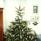 Weihnachtsbaum.jpg