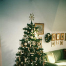 Weihnachtsbaum1.jpg