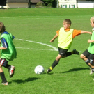 Felix Gurschler1_jpg-1275916217