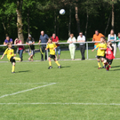 IMG_7921_JPG-1275925480