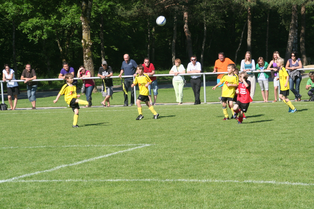 IMG_7921_JPG-1275925480
