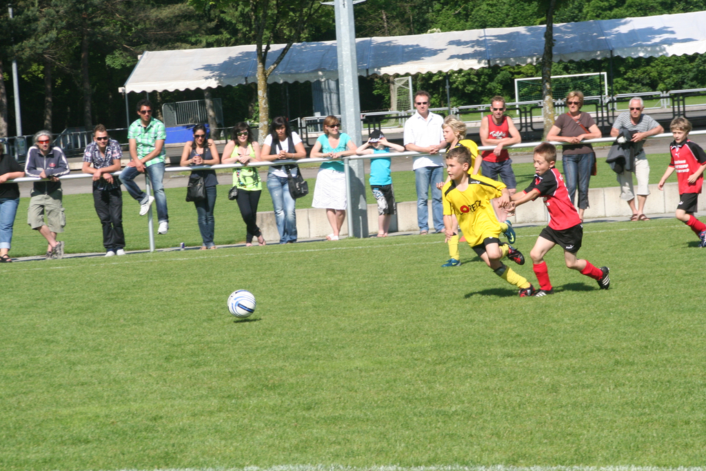 IMG_7943_JPG-1275925586