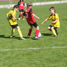 IMG_7961_JPG-1275925659