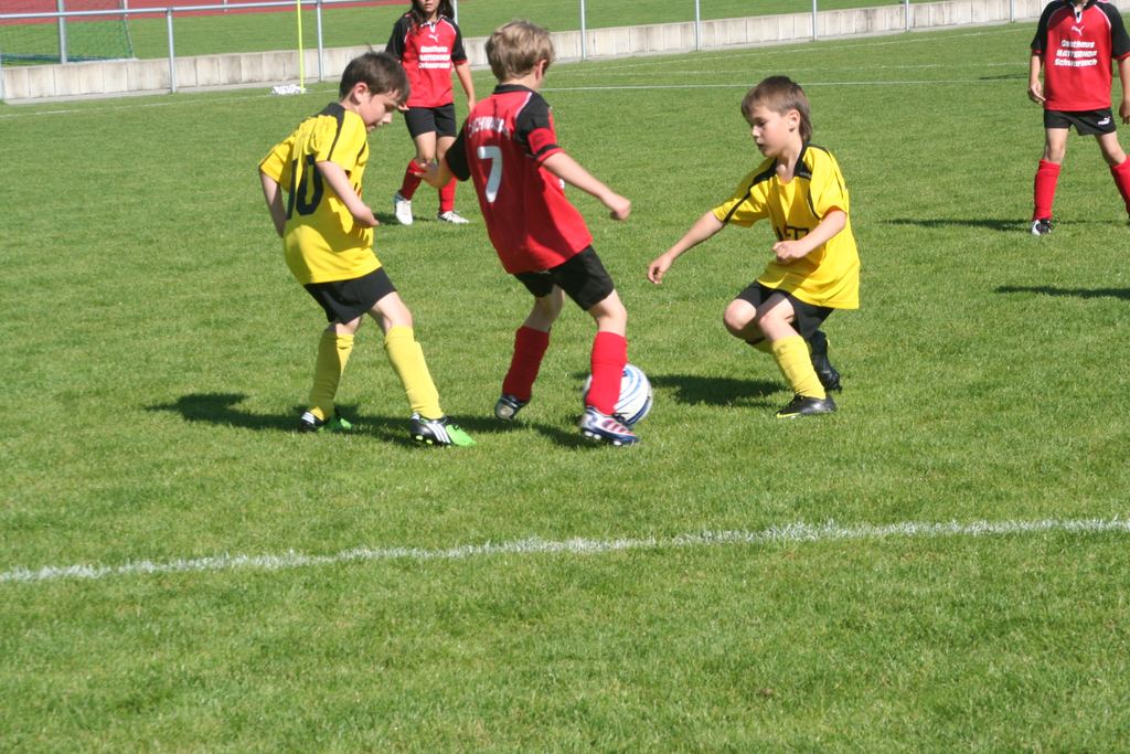 IMG_7961_JPG-1275925659