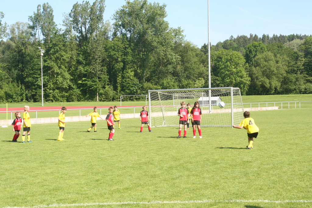 IMG_7977_JPG-1275925706