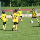 IMG_7993_JPG-1275925747