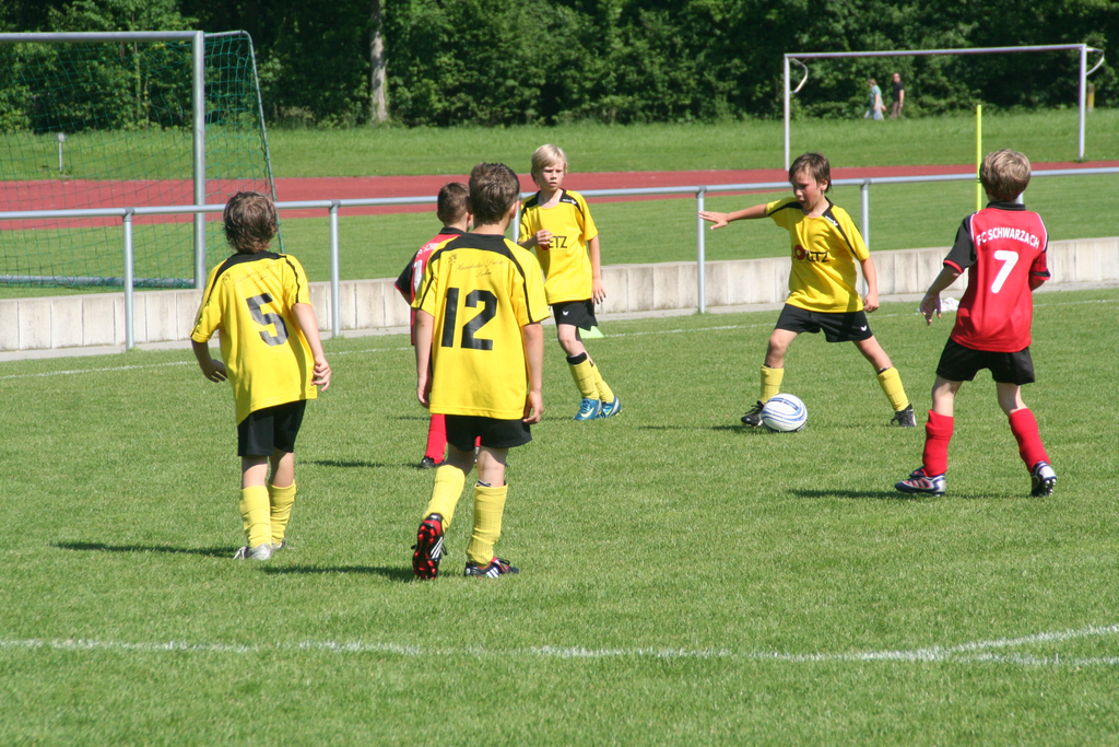 IMG_7993_JPG-1275925747