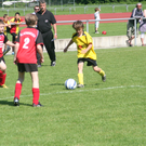 IMG_7995_JPG-1275925783