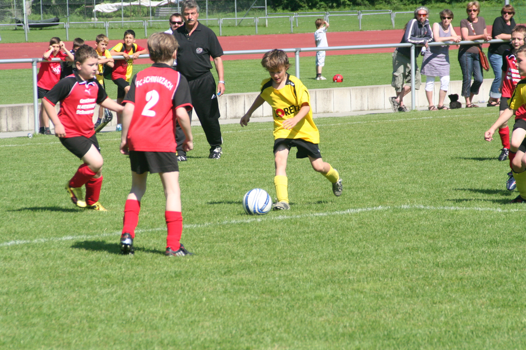 IMG_7995_JPG-1275925783