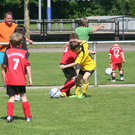 IMG_7999_JPG-1275925819