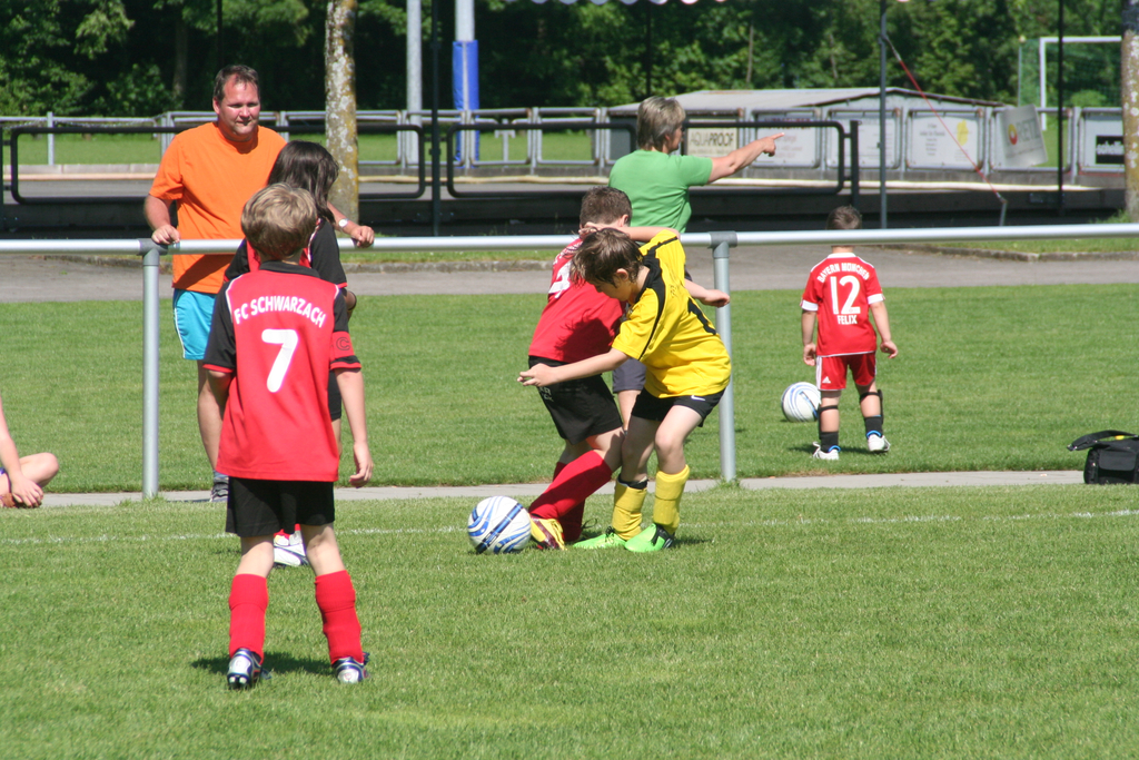 IMG_7999_JPG-1275925819