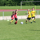 IMG_8009_JPG-1275925856
