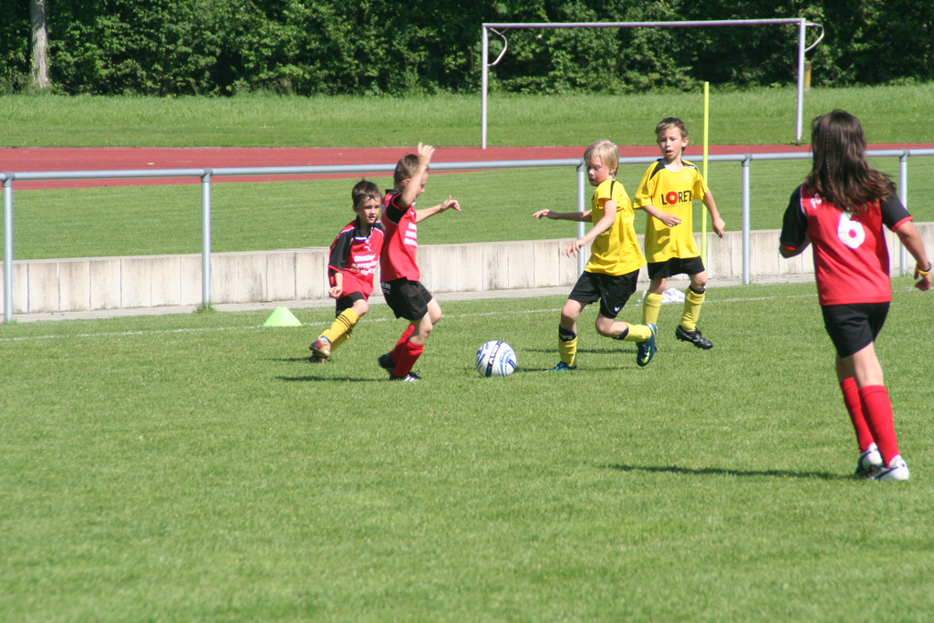 IMG_8009_JPG-1275925856