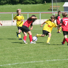IMG_8010_JPG-1275925894