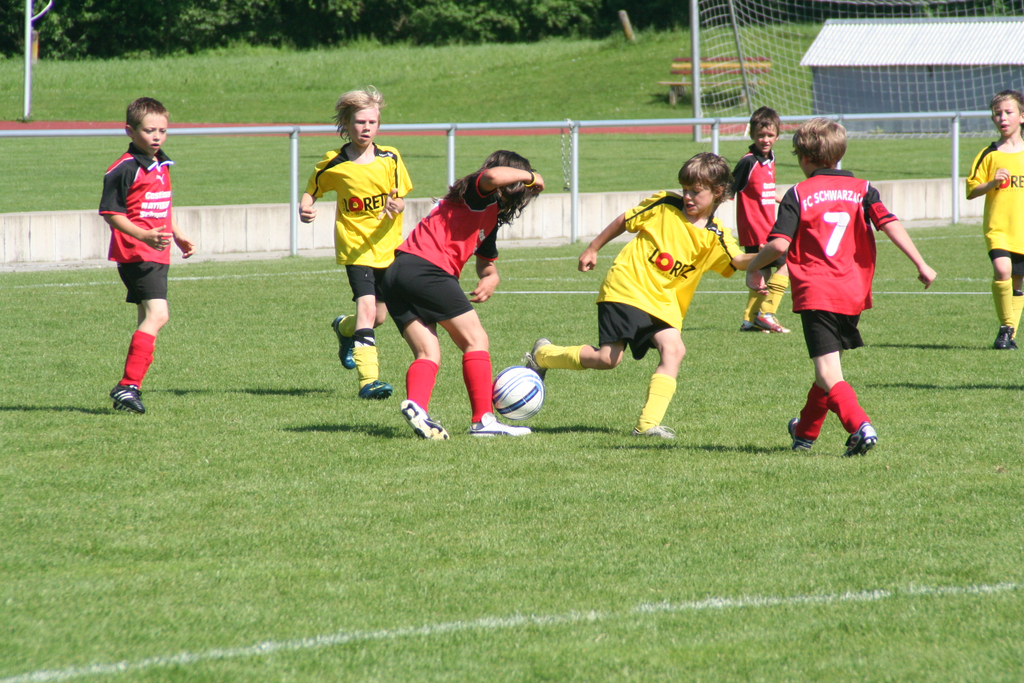 IMG_8010_JPG-1275925894