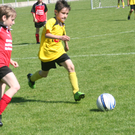 IMG_8015_JPG-1275925930
