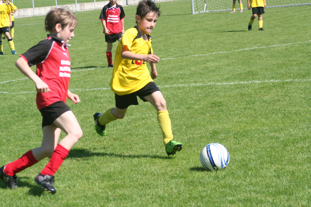 IMG_8015_JPG-1275925930