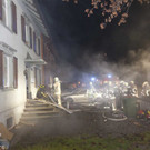 Br_BludeschIndoorplantage08.JPG