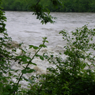 102_1269_jpg-1275951687