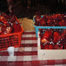 DSCN0068.JPG