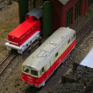 IMG_3496.jpg