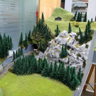 IMG_5588.jpg