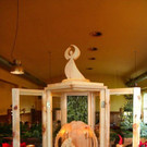IMG_5739.jpg