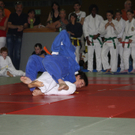 dc1-5us0ilblmoi8s77yi4w_original.jpg