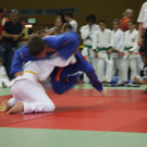 dc1-5us0ijz2vv5y8mhki4w_original.jpg