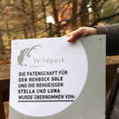 KOE_Wildpark Tierpaten Rehe02.jpg