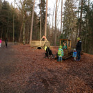 KOE_Wildpark Tierpaten Rehe06.jpg