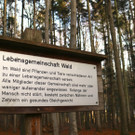 KOE_Wildpark Tierpaten Rehe09.jpg