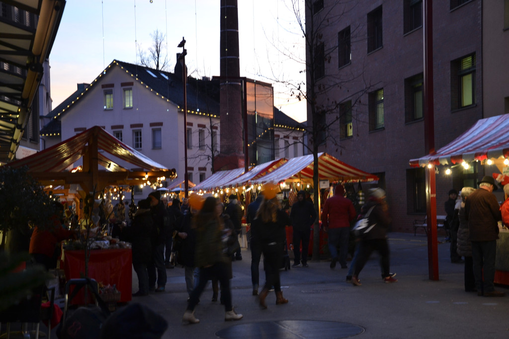 DSC_1245.JPG