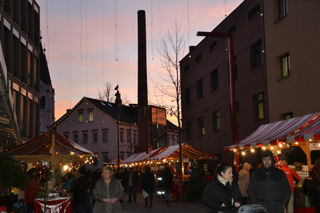 DSC_1247.JPG