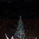 sfb_nutcracker7.jpg