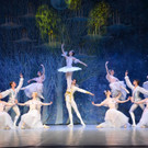 sfb_nutcracker8.jpg