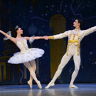 sfb_nutcracker10.jpg