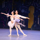 sfb_nutcracker11.jpg