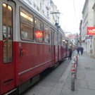 Straßenbahnstau Linie 49