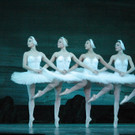 St. Petersburg Festival Ballet: Eindrücke aus “Schwanensee”