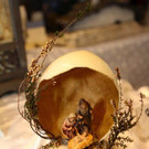 IMG_5817.jpg