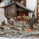 IMG_5832.jpg