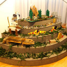 IMG_5839.jpg