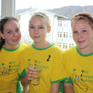 Turnier des Herzens SPORTHALLE Teams 14-11-2015 BMS _9_.JPG