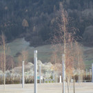 IMG_3611-1.JPG
