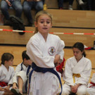 Shotokan Karate Club Fotos Verein