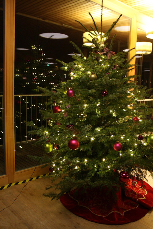 Schloss Hofener Advent im Badehaus 2015 _3_.JPG