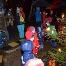 DSC_0206.jpg