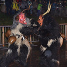 DSC_0871.jpg